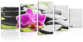 5-részes kép wellness csendélet lila orchideával