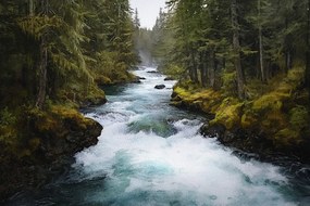 Fotótapéta Flizelina Tájkép Erdő Fák Folyó Áramlat 312x219 ragasztó