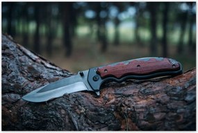 Poszterek 120x80 Fatörzsön fekvő kés