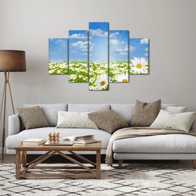 A virágzó rét százszorszépekkel képe (150x105 cm)