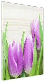 Egyedi üvegkép Lila tulipánok osv-78755149