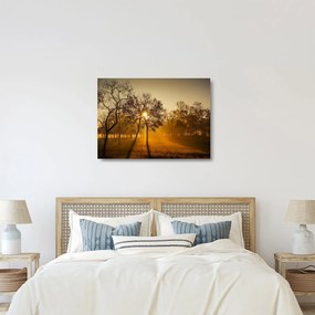 Kép - Napkelte (üvegen) (70x50 cm)