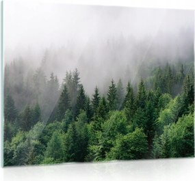 Üvegfestmény Erdő a ködben Konyha 80x60