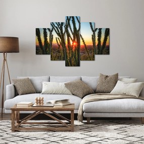 Kép - Növények (150x105 cm)