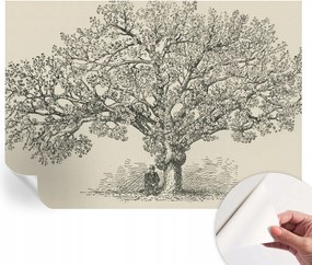 Öntapadós fali fotótapéta Hálószobába Fa illusztráció 312x219 cm