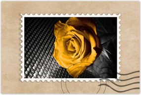 Poszterek 90x60 Sárga rózsa