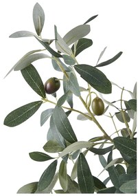 Olajfa műnövény (magasság 61 cm) – House Nordic