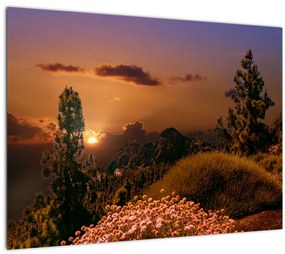 Természet képe naplementekor (70x50 cm)