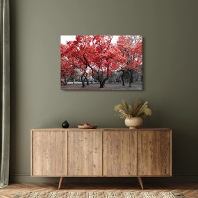 Kép - vörös fák, Central Park, New York (90x60 cm)