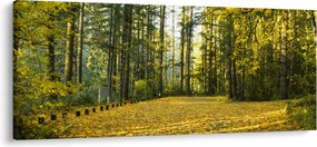 Kép - erdő ősszel (120x50 cm)