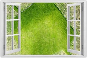 Poszterek 60x40 Fű mező rét út