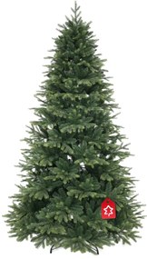 Himalájai lucfenyő 180 cm