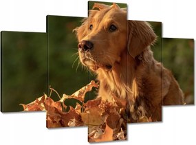 Festmények 150x105 Őszi kutya portré Fotó
