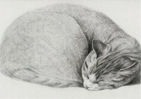 Divatos Flizelin Tapéta Ragasztóval Fali 3D Összecsukható macska 208x146 Ragasztó