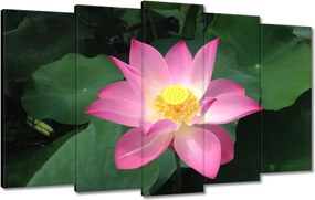 Vászonkép 100x60 Lótusz Lótuszvirág
