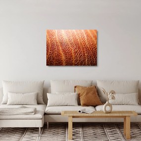 Üveg kép - Textúra részlet (70x50 cm)