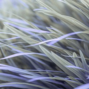 Poszter 50x50cm Fű, Assaf Frank