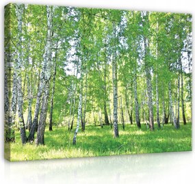 Vászonkép Erdő Hálószoba Nappali XXL 120x80