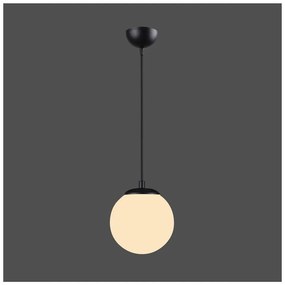 Efe fekete függőlámpa, magasság 120 cm - Squid Lighting
