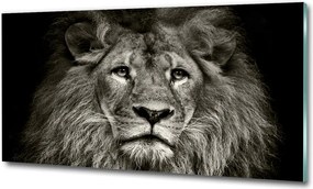 Fotó-kép fotó edzett üveg Oroszlán 100x70
