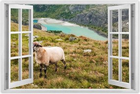 Poszterek 90x60 Juh legeltetés Bárányok Juhok