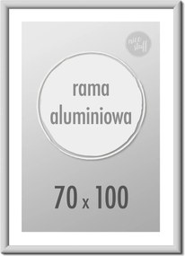 Képkeret 70X100 B1 Képkeret 70x100 Képkeret Alumínium Ezüst