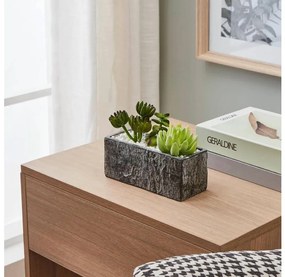 Eglo 428009 - Műnövény CHITOSE 14,5x17,8 cm, pozsgás cserépben