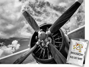 Fotótapéta Flizelina Repülőgép Propeller Repülés Felhők Retro 100x75 ragasztó