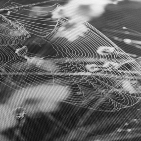Kép - Pókháló a réten (120x50 cm)