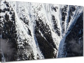 Festmények 120x80 Kanadai hegyoldalak