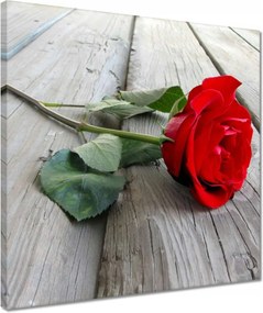 Vászonkép 40x40 Vörös rózsa a deszkákon