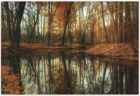 Poszterek 155x105 Őszi táj Tájkép