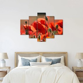 Pipacsok képe (150x105 cm)