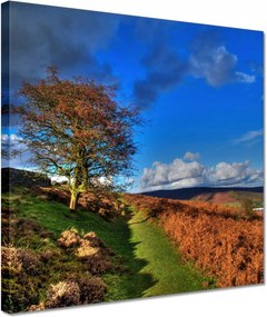 Vászonkép 30x30 Fa a láthatáron