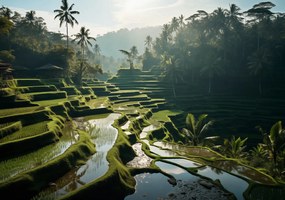 Poszter 66,5x46,5cm Zöld Menedék