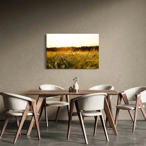 Harmatos fű képe (90x60 cm)