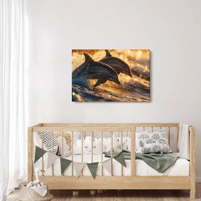 Kép - Delfinek (90x60 cm)