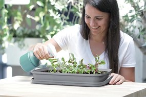 Prosperplast RESPANA TABLE GREENHOUSE ültető szürke kő 39,1 cm
