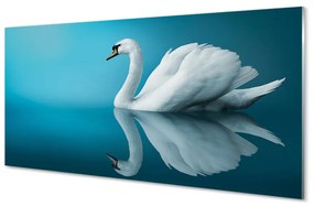 Akrilkép Swan vízben 100x50 cm 2 fogas