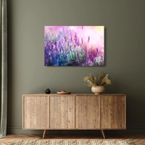 Kép - Levendula a csillogó napban (90x60 cm)