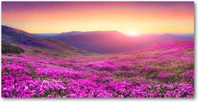 Fotó kép edzett üveg Rózsaszín dombok 140x70