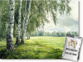 Fotótapéta Flizelina Tájkép Kilátás Erdő Fák Nyírfa Rét 400x280 ragasztó