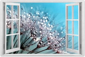 Poszterek 90x60 Harmatcseppek Pitypang