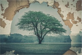 Dekoratív fotótapéta falra Könnyű összeszerelés Magányos fa 104x70 Ragasztó