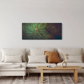 Kép - Fenyőfa részlete (120x50 cm)