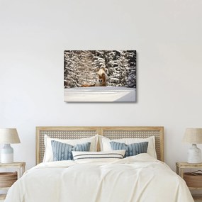Kép - Ló a téli tájban (70x50 cm)