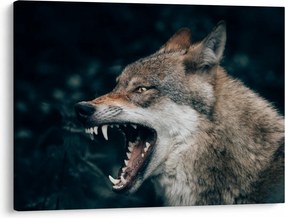 Farkas képe (70x50 cm)