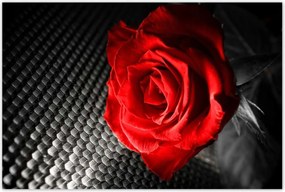 Poszterek 120x80 Piros a szĂŒrke között