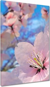 Vászonkép 80x120 Gyönyörű virágok