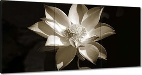 Vászonkép 120x60 Lótusz Lótuszvirág